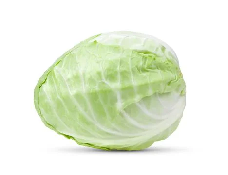Pointed cabbage on white background Stock Photos