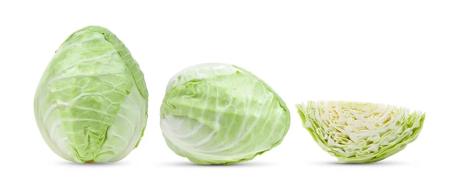 Pointed cabbage on white background Stock Photos