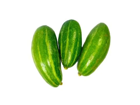 Pointed Gourd isolated in white background Stock Photos