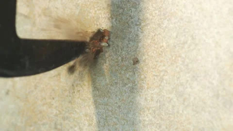 Pointed hammer hitting a surface in slow motion Stock Footage 264039681