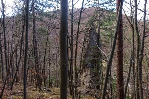 Pointed high rock while hiking in a forest Stock Photos