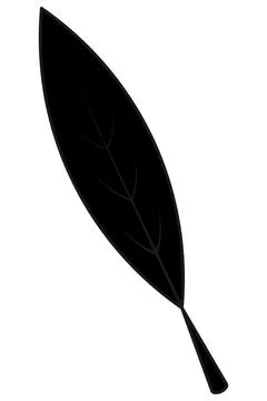 Pointed leaf. Elongated part of a tree with veins. Silhouette. Vector. 스톡 일러스트