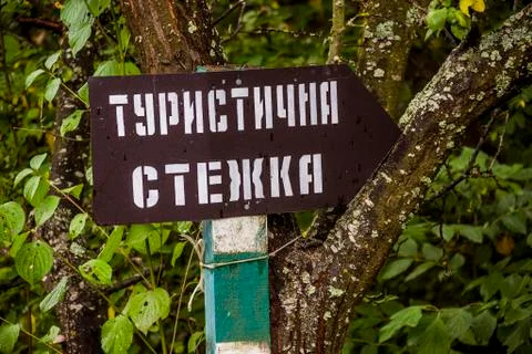 Pointer arrow in the forest Stock Photos