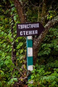 Pointer arrow in the forest Stock Photos