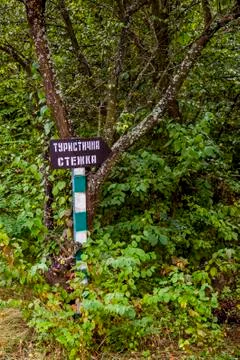 Pointer arrow in the forest Stock Photos