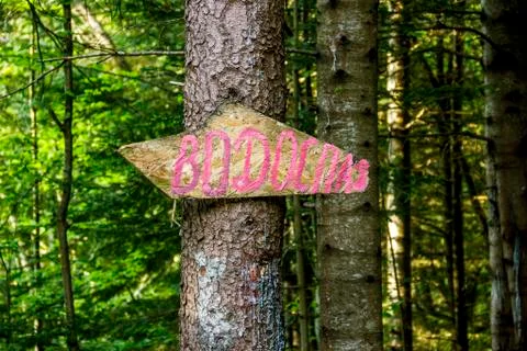 Pointer arrows on a tree Stock Photos