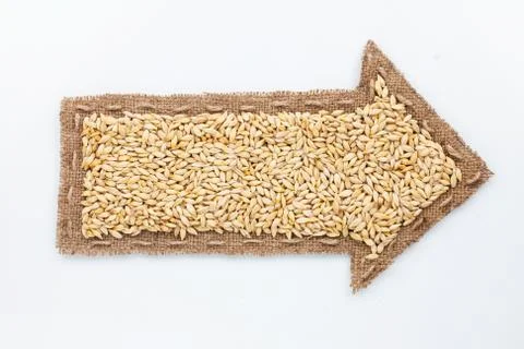 Pointer with barley grains Stock Photos