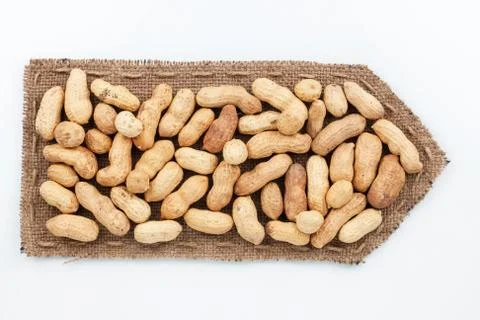 Pointer of  burlap with peanut Stock Photos