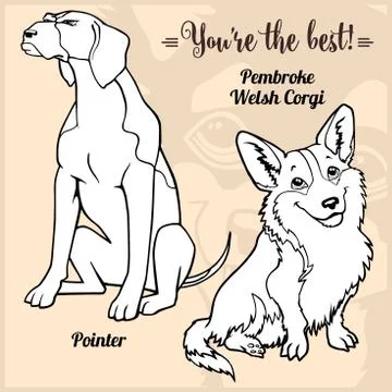 Pointer, Cardigan Welsh Corgi - set with dog breeds, cartoon pictures Stock Illustration