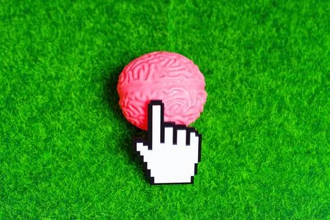 Pointer Cursor Clicks Human Brain Placed on a Green Lawn Stock-Fotos