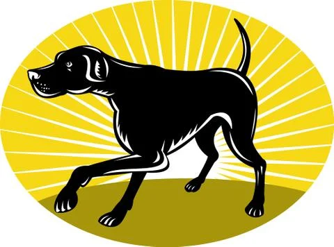 Pointer dog with sunburst retro style Stock Illustration