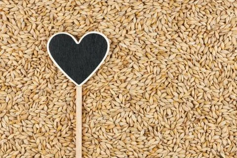 Pointer in the form of heart lies on barley grains 写真素材