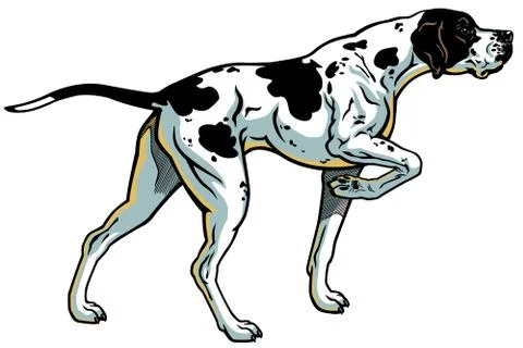 Pointer gun dog Stockillustratie