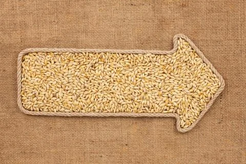 Pointer made from rope with grain barley  lying on sackcloth Stock Photos