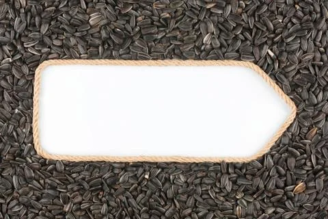 Pointer made from rope with seeds sunflower  lying on a white background Stock Photos
