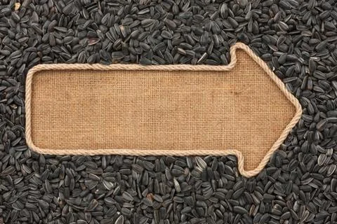 Pointer made from rope with  sunflower seeds  lying on sackcloth Stock Photos