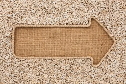 Pointer made from rope with  sunflower seeds  lying on sackcloth Stock Photos