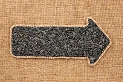 Pointer made from rope with  sunflower seeds  lying on sackcloth Stock Photos