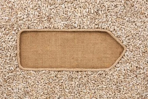 Pointer made from rope with sunflower seeds  lying on sackcloth Stock Photos