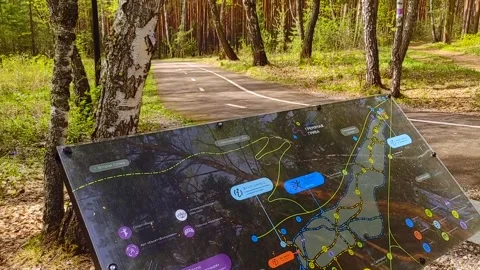 Pointer with a map of the area in the forest Stock Footage 242315047