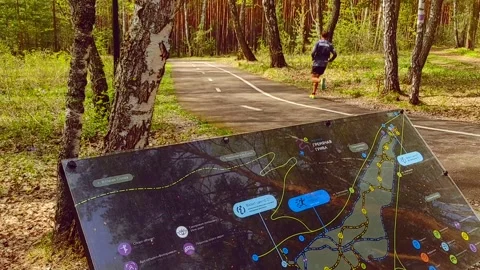 Pointer with a map of the area in the forest Stock-Footage 242315110