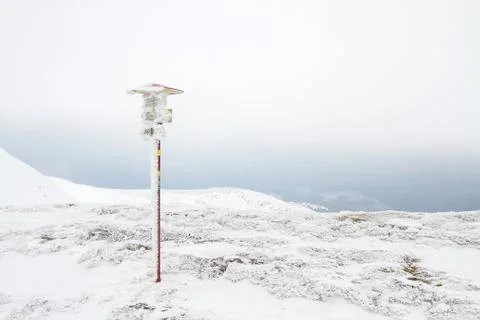 Pointer on the mountain. 스톡 사진