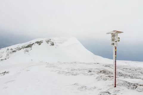Pointer on the mountain. Stock Photos