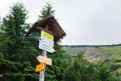 Pointer Stock Photos