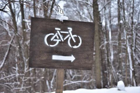 Pointer Stock Photos