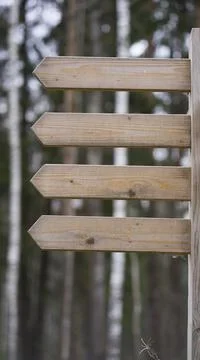 Pointer Stock Photos