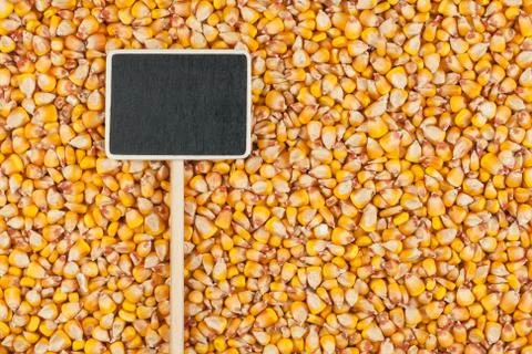 Pointer, the price tag lies on corn Stockfoto's