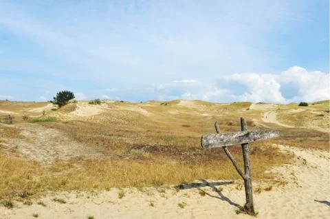 Pointer on road 写真素材