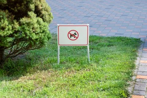 Pointer sign on the lawn with green grass. Banner text dog walking is prohibited Stock-Fotos