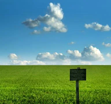 Pointer sign set on a background of green meadow and blue sky. 스톡 사진