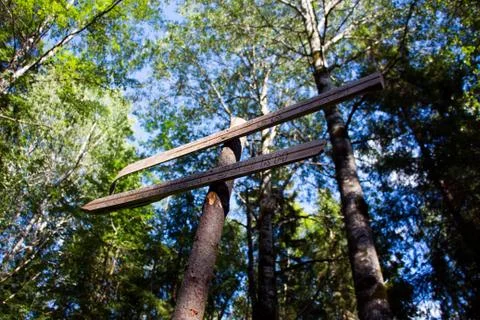 Pointer on the trail in the forest, next to the camping Stock Photos