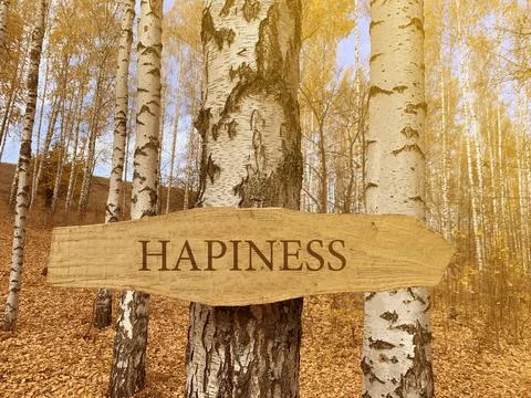 Pointer on a tree Foto stock