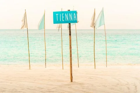 Pointer on a tropical beach against the background of the azure sea and blue sky Stock Photos