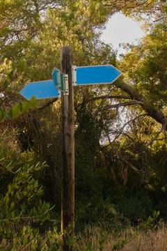 Pointers arrows in the park 스톡 사진