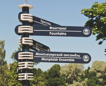 Pointers in the Peterhof Stock Photos