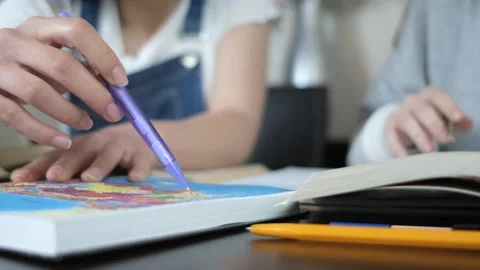 Pointing Borders on Map Stock Footage 186083237