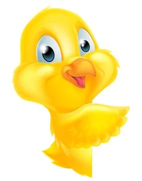 Pointing Easter Chick Stock Illustration