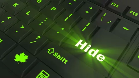 Pointing on green glowing Hide key Stock Footage 100636057