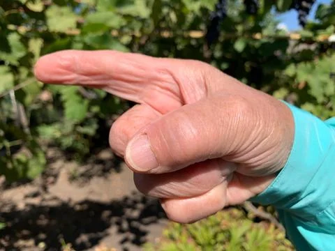 Pointing Hand Showing Direction Stock Photos
