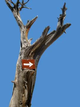 Pointing to the right Stock Photos