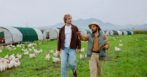 Pointing, tablet and walking with men on farm together for agriculture, poultry Video stock 335931855