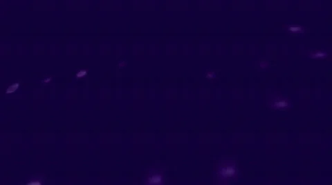 Points Growing out of Dots (purple) Video stock 590296