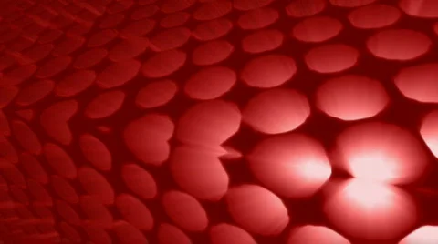 Points Growing out of Dots (red) Video stock 590304