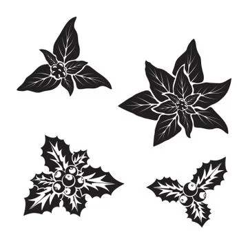 Pointsettia flower with berries Stock Illustration