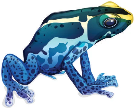 Poison dart frog Illustrazione stock