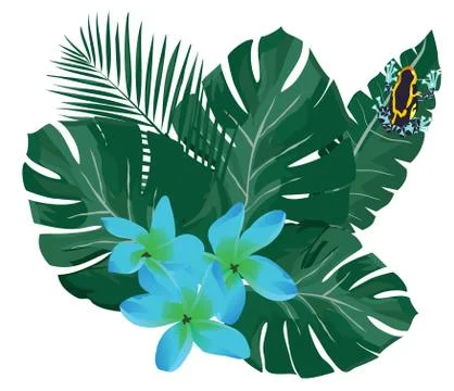 Poison Dart Frog Stock Illustration